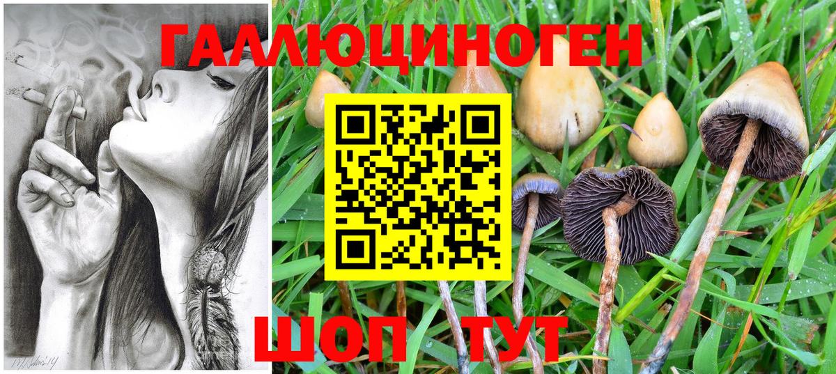 Арсеньев  Галлюциногенные грибы мухоморы  Вход с VPN  Псилоцибиновые грибы прущие грибы 